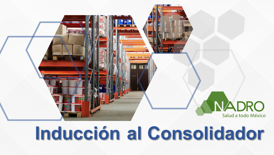 Inducción al puesto Consolidador