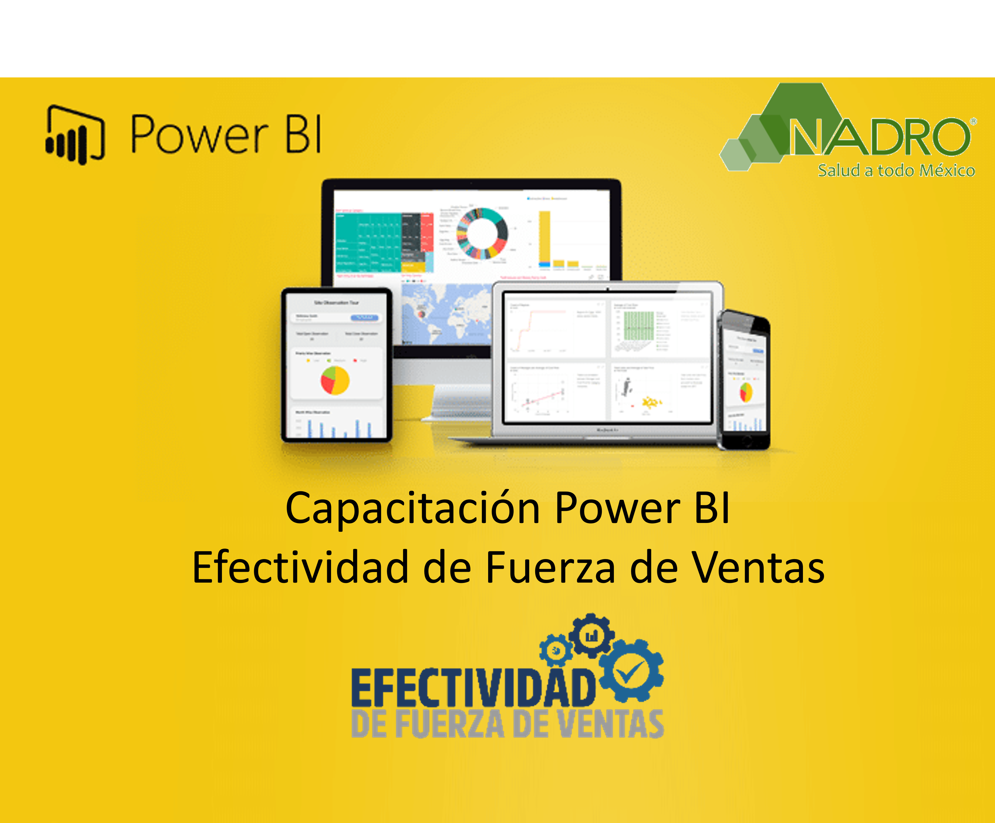 Capacitación Power BI: Efectividad de Fuerza de Ventas