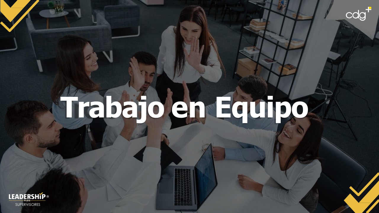 Módulo 8 "Trabajo en equipo"