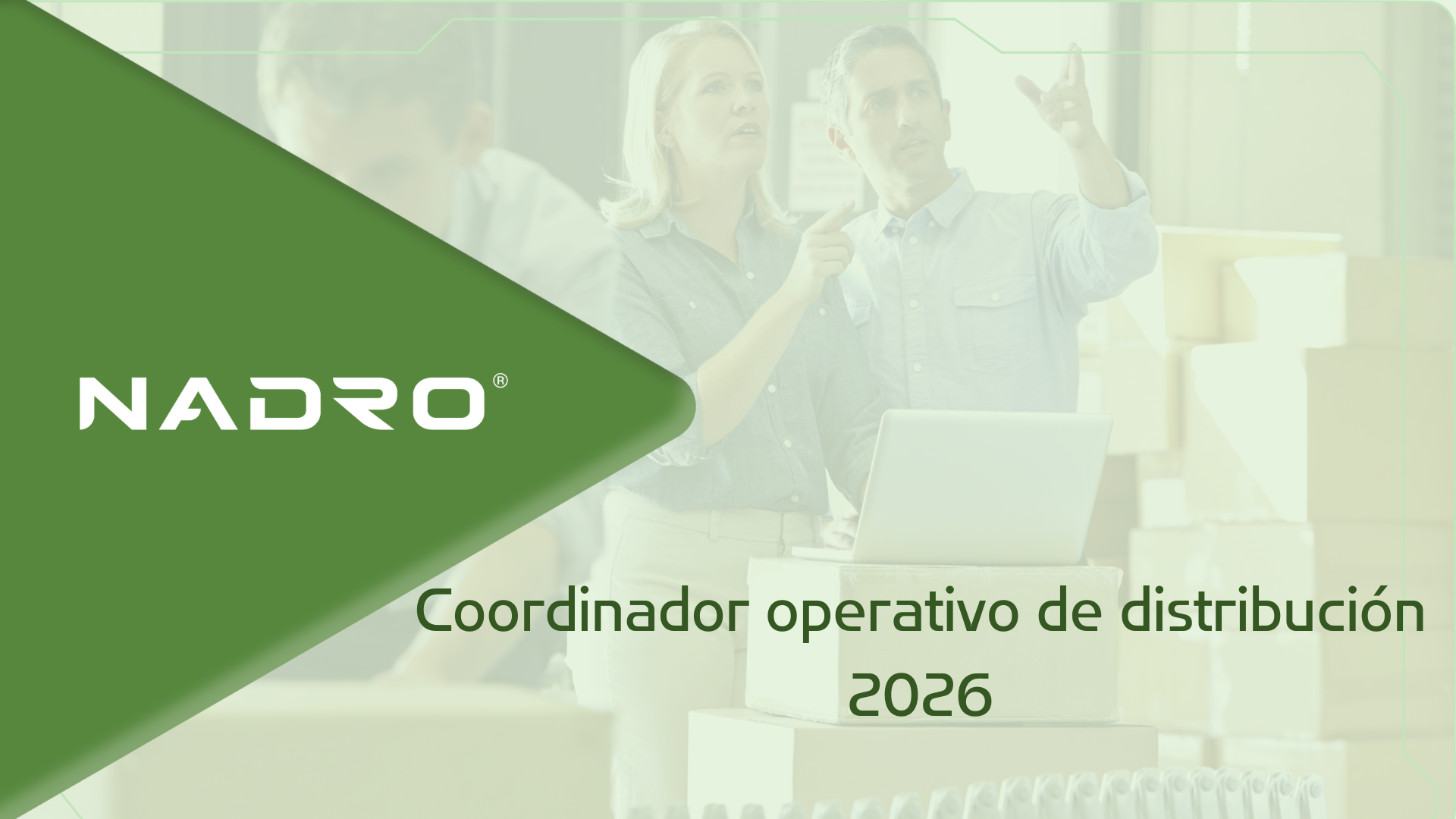 Coordinador operativo de distribución 2026