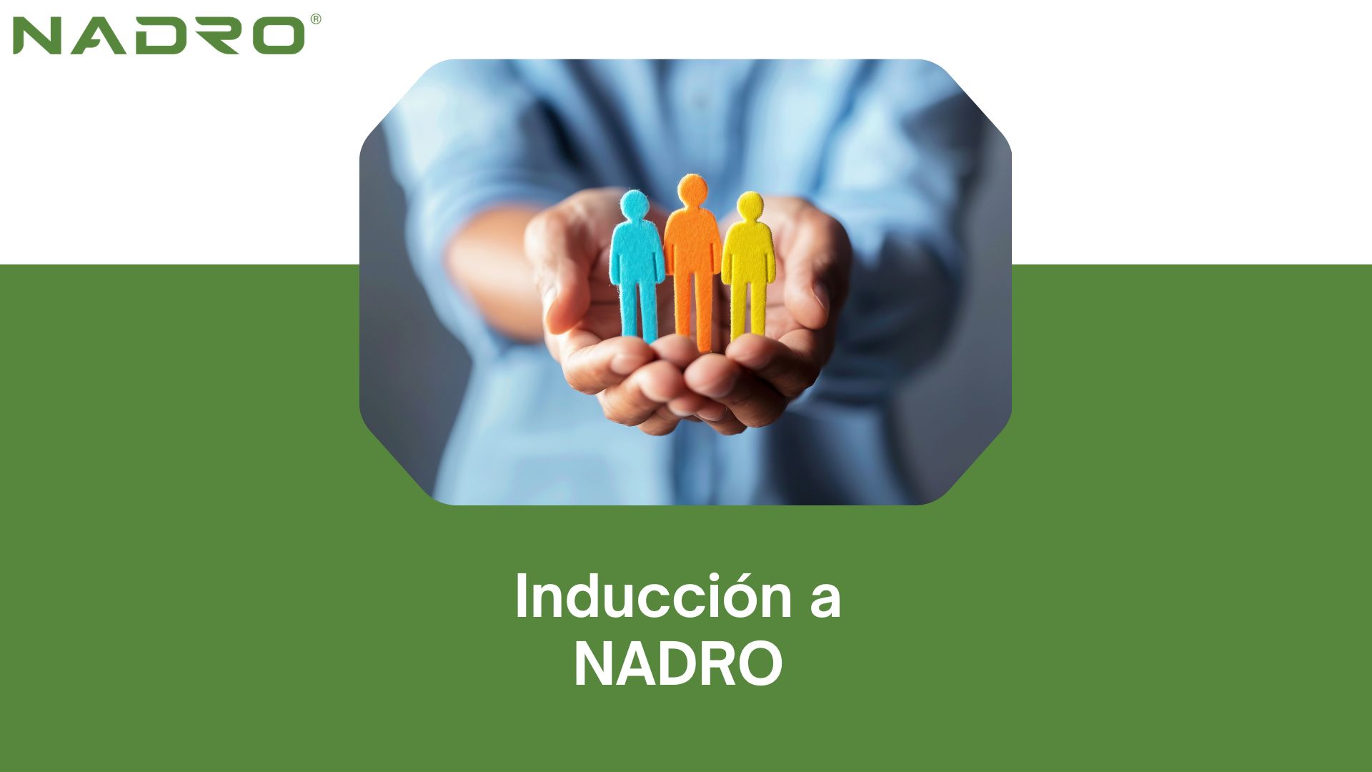 Inducción a NADRO