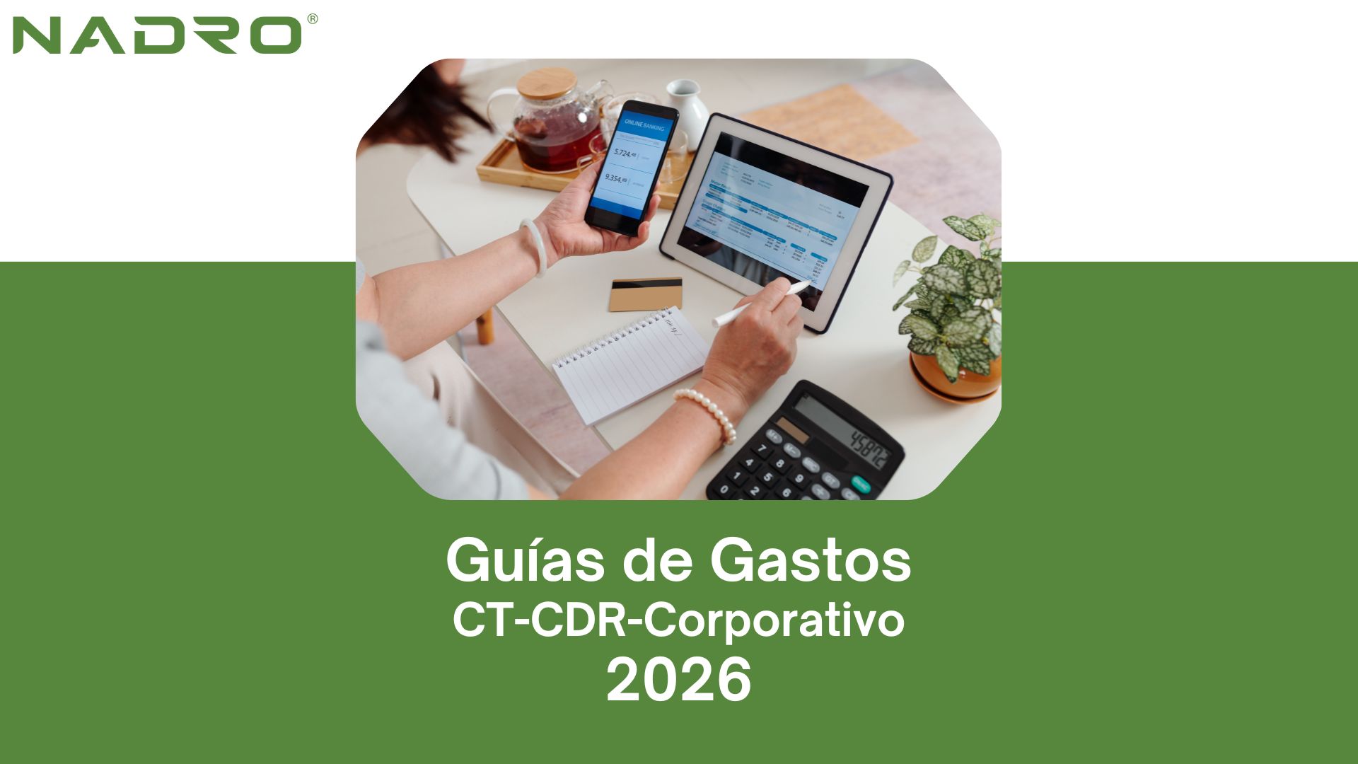 Guías de Gastos 2026 NADRO