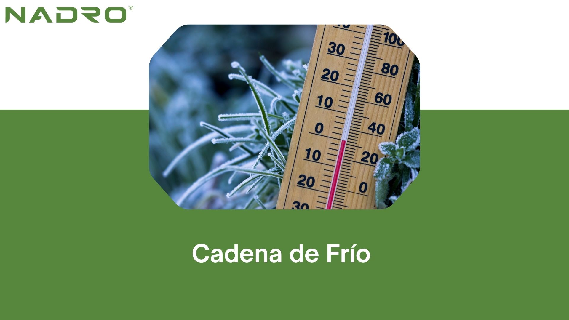 Cadena de Frío