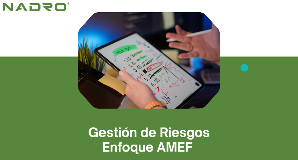 Gestión de Riesgos (AMEF)